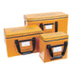 Insulated Vaccine Carrier Group Image