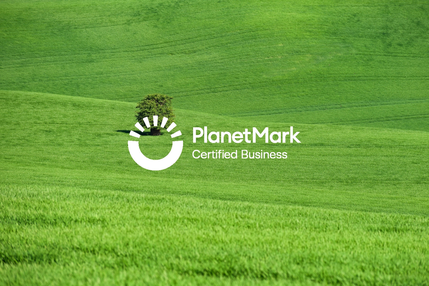 Planet Mark