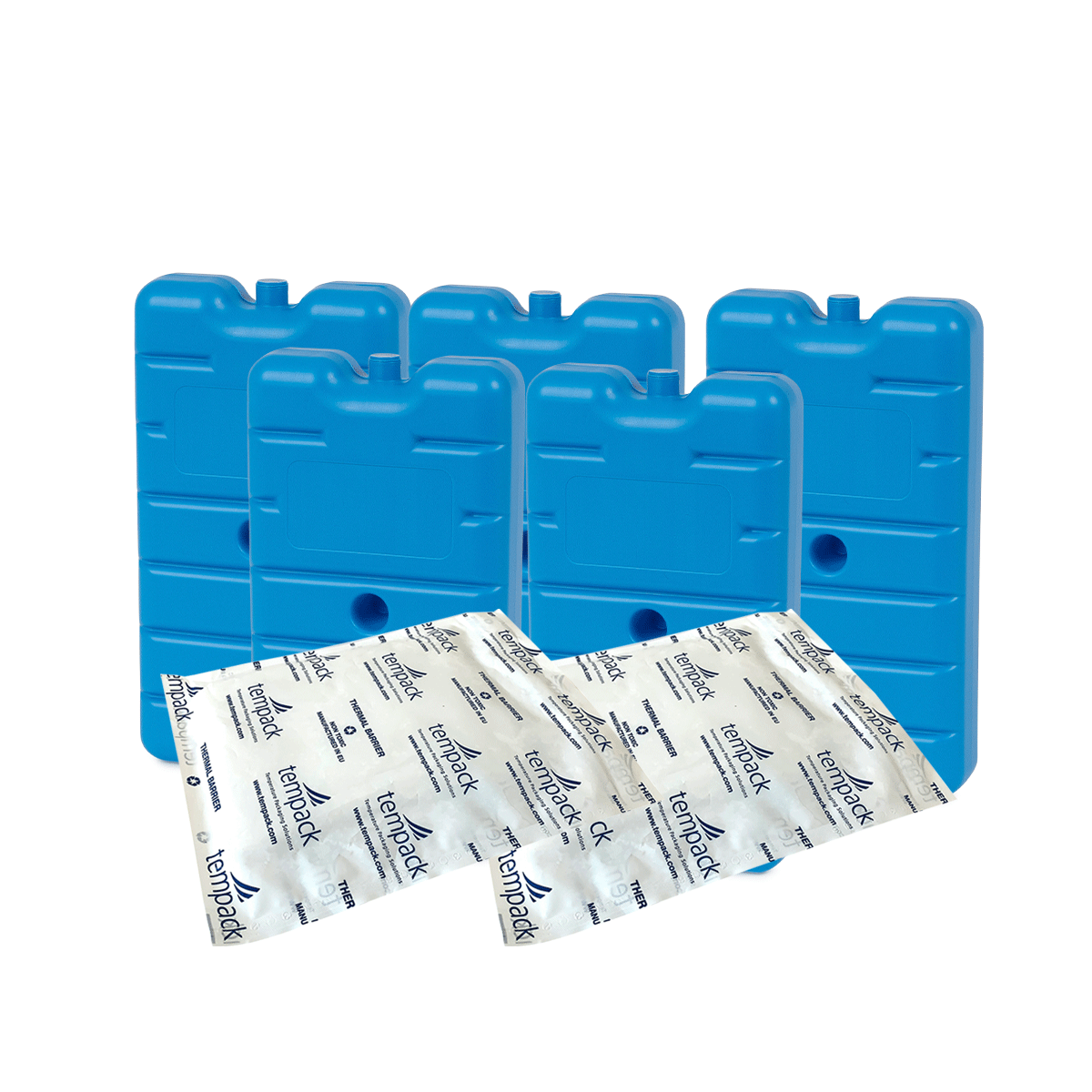 Large Carrier 2–8 °C Freeze Board Transport Kit