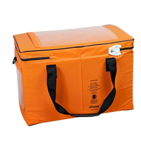 Insulated Pharmacy Bag