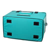 Insulated Pharmacy Bag