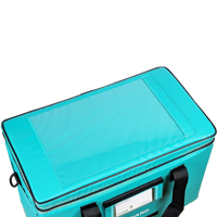 Insulated Pharmacy Bag